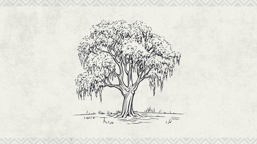 Lone tree against dusty gray background