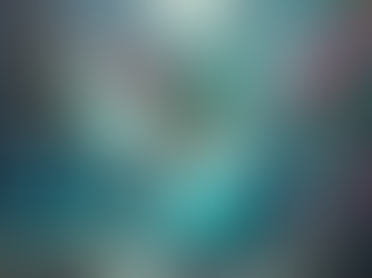 Réévaluer la parabole du colibri : Au-delà des gouttes d’eau 