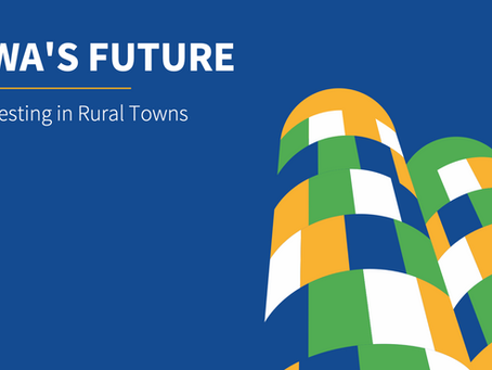 Bondurant - Policy Pathways for Redevelopment of the Idle Grain Silo Complex