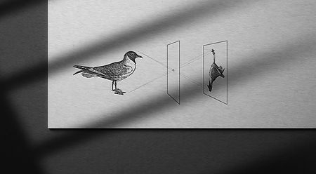 ae_seabird_letterpress_mockup.jpg