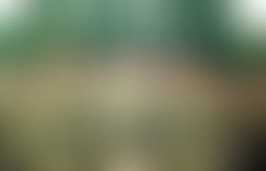 Soviet parade uniform