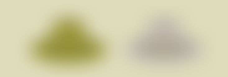 History of Soviet Army panama hat