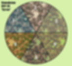 TTSKO BUTAN CAMOUFLAGE