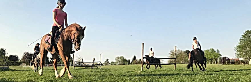 Les Petites Écuries 78 chevaux et poney enseignement pension balade stage equitation loisir competition vente