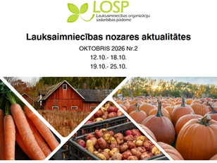 Infolapa: oktobris 2026 Nr.2