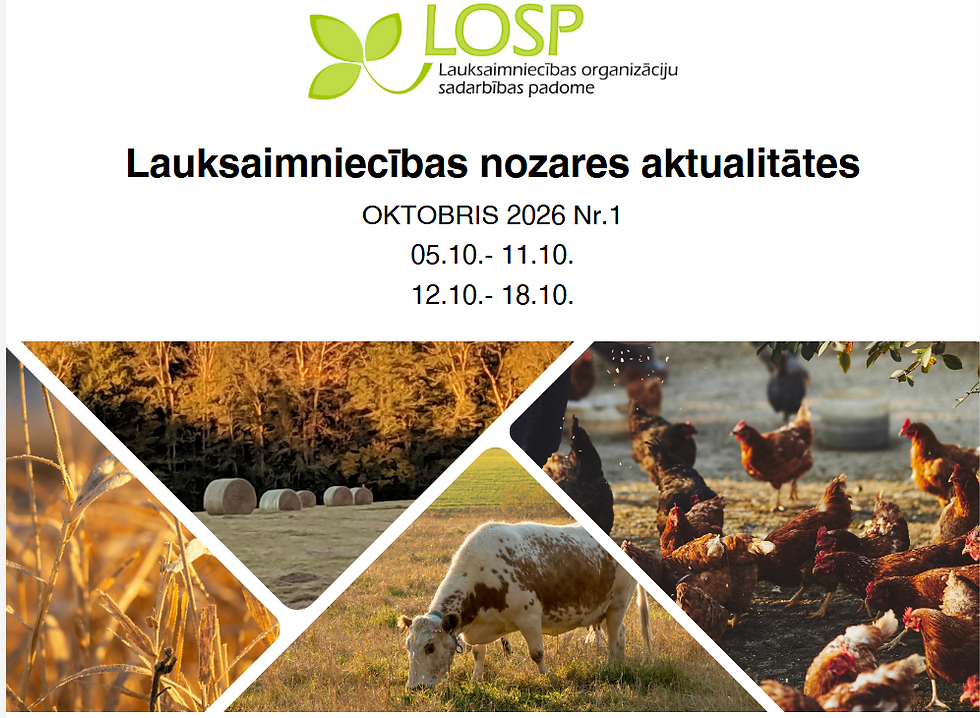 Infolapa: oktobris 2026 Nr.1