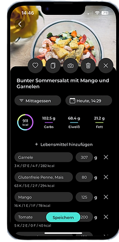 Einsicht in die Coaching App (Ernährung)