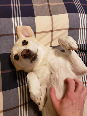20190506_070756.jpg