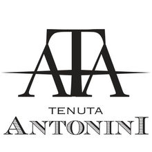 Tenuta Antonini
