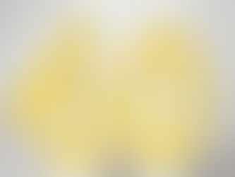 On flipping birds and forty.