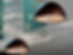Captura de pantalla 2025-12-15 a las 12.55.11.png