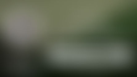 Episode 42: Chloe Blesh, Owner of Hemp Generation, Shares How to Stand Out in Retail