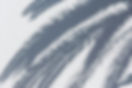 pexels-jan-van-der-wolf-11680885-28079387.jpg