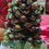 Thumbnail: All Natural Fl Pinecone, ready for St. Patrick's Day!