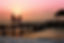 family-pier-man-woman-39691pexels.jpeg
