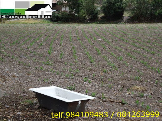 Terreno de 1750 m2 en Av collasuyo