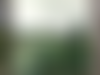 Ranau, Mount Kinabalu, Borneo