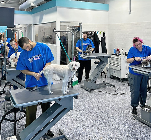 Screenshot 2024-11-14 at 3.39_edited.jpg