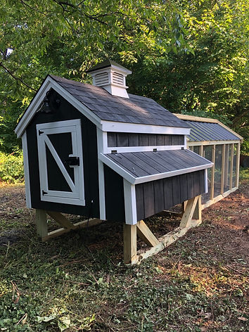 chicken coop and run