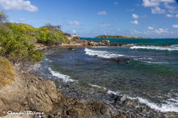 Martinique_0198.jpg