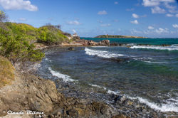 Martinique_0198.jpg