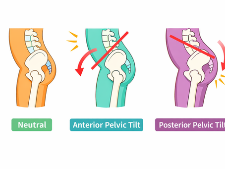 Importance of Posture in Daily Life: Why Alignment Matters