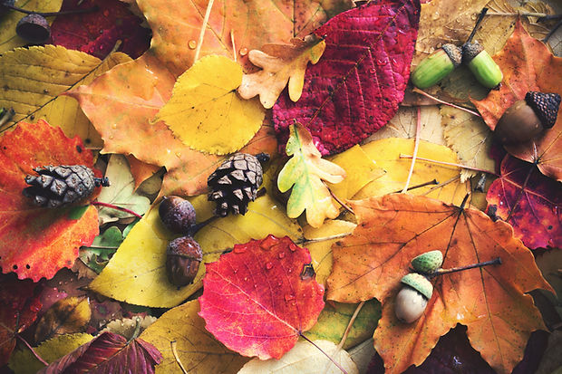 AdobeStock_221098238.jpeg