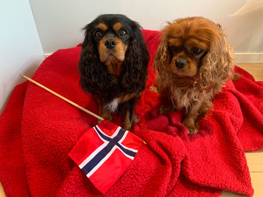 MÅNEFASEN VOKSENDE MÅNESIGD