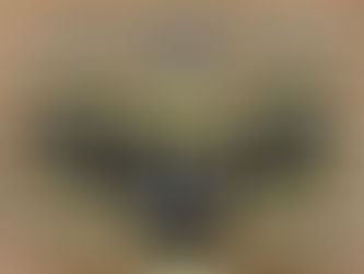 Dry Scalp Contributors and Remedies