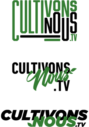CNtv-Alt.png