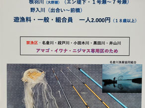 あゆ・引っ掛け漁が解禁します