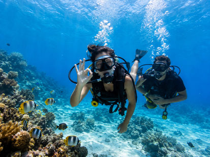Baptême de plongée sous-marine en Martinique.