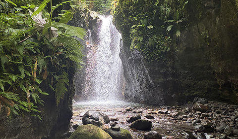 Cascade tropicale au cœur de la forêt en Martinique