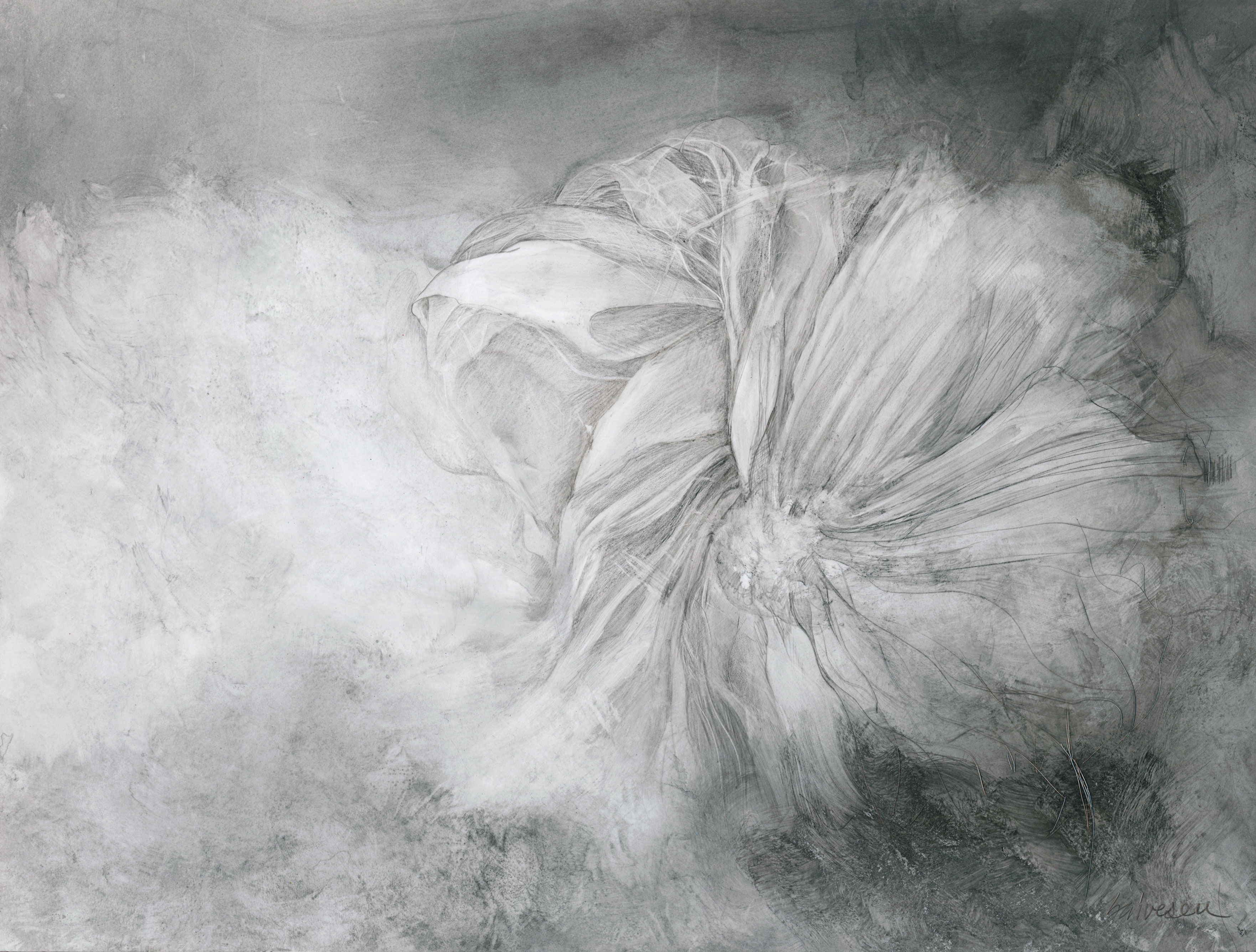 Gossamer