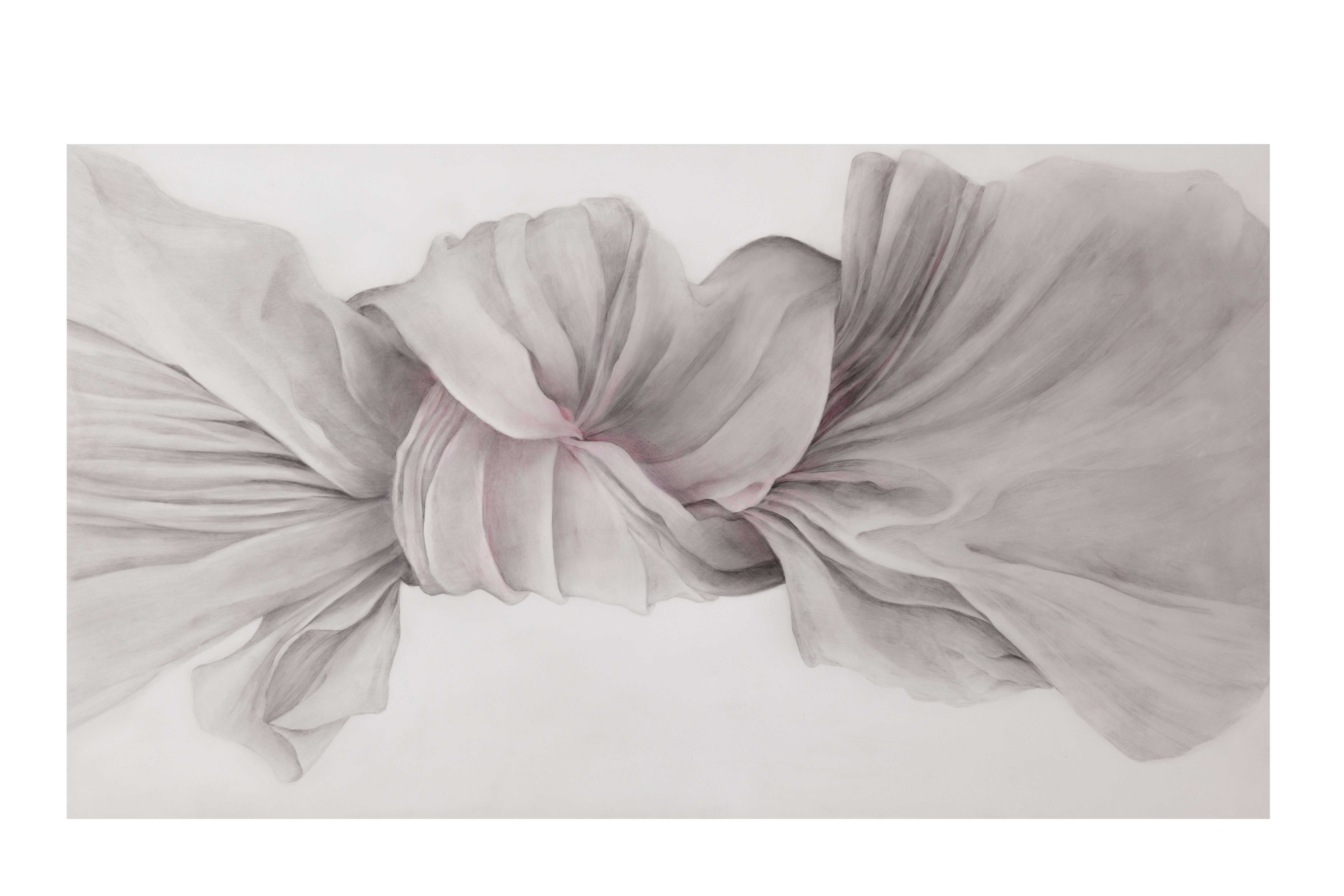 Blossom
