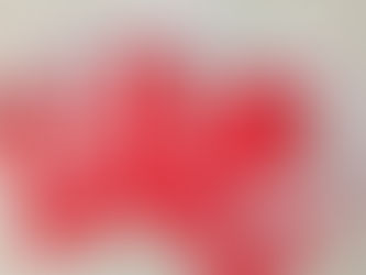 Meisterrückführung