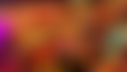 Einladung zur 95. ordentlichen Hauptversammlung