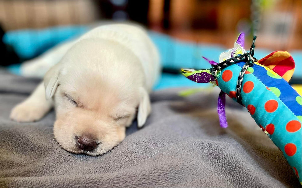 Soon-to-be a Canadian girl