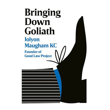 Jolyon Maugham: Bringing Down Goliath