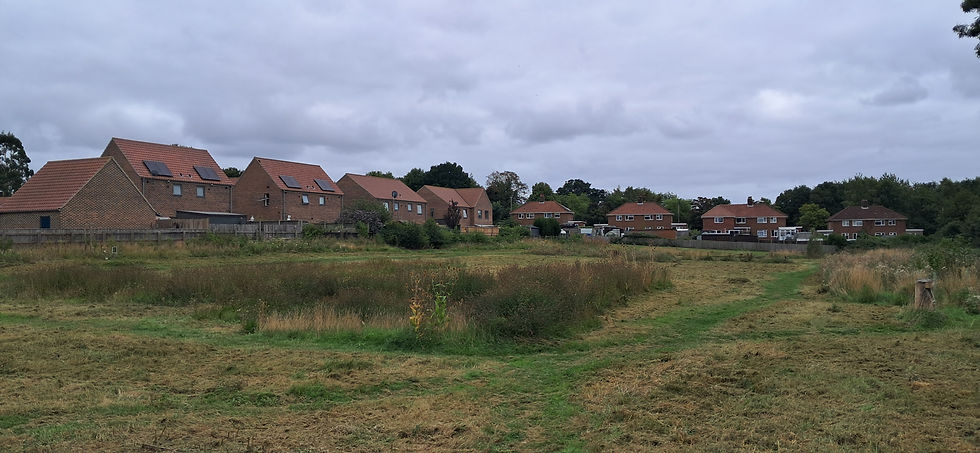 Aug 2025 - Summer cut