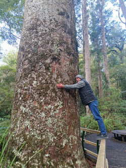 2025 ehnz IMG_20250814_143509