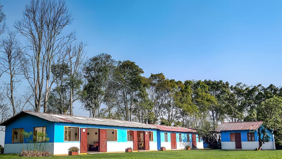 Estimulación sensorial en la naturaleza: un aliado real contra el deterioro cognitivo