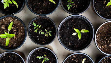 So You’ve Decided to Try Propagating