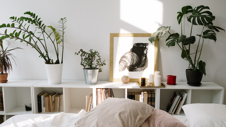 The biggest plant trends of 2021