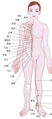 Kidney Meridian 肾经
