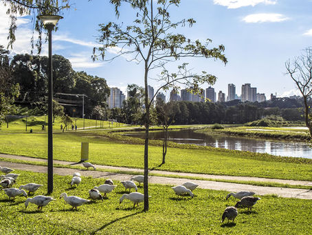 Diminui movimentação nos parques e praças da capital