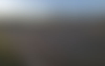 Guarda Municipal volta a dispersar aglomerações