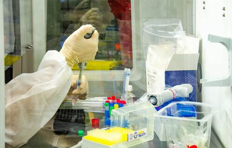 Vetos de Bolsonaro em lei tiram mais de R$ 4 bilhões da ciência em 2021