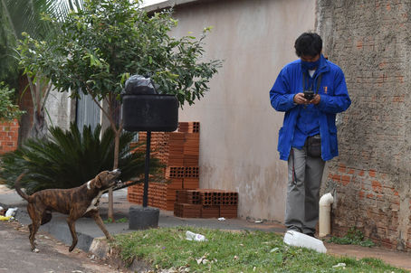 Guarda responsável de animais pode evitar ataques de cães contra leituristas