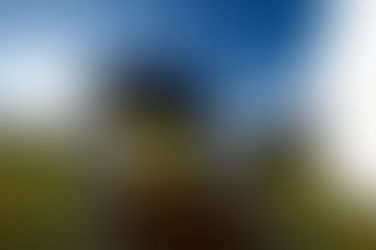 Arte para Maiores, do MON, ganha mais adeptos com versão virtual